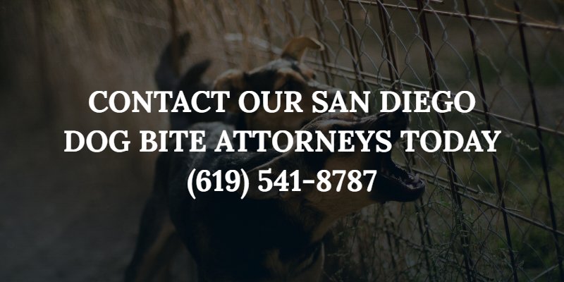 San Diego Dog Bite Lawyer